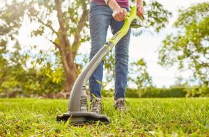 Must have power tools for perfect backyard - trimmer