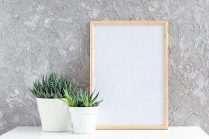 10 Best Things to Buy at Dollar Tree, picture frames