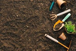 How to start composting, compost 