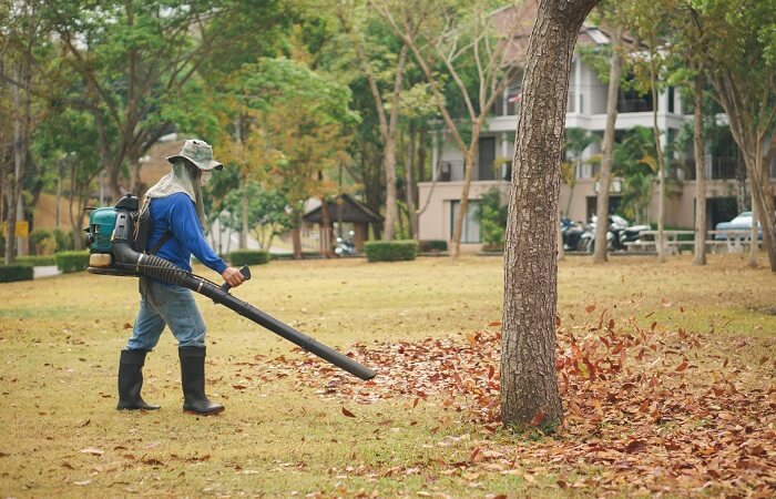 the best leaf blower to buy