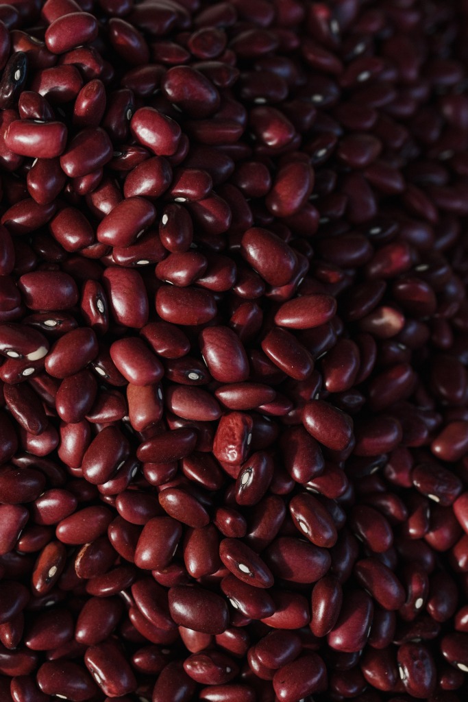 Foods That Contain Protein - Beans - what foods contain high protein