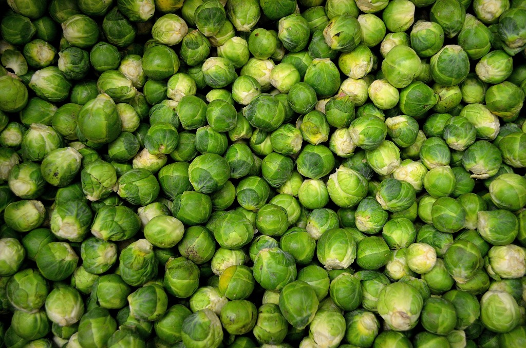 brussels sprouts what foods contain high protein