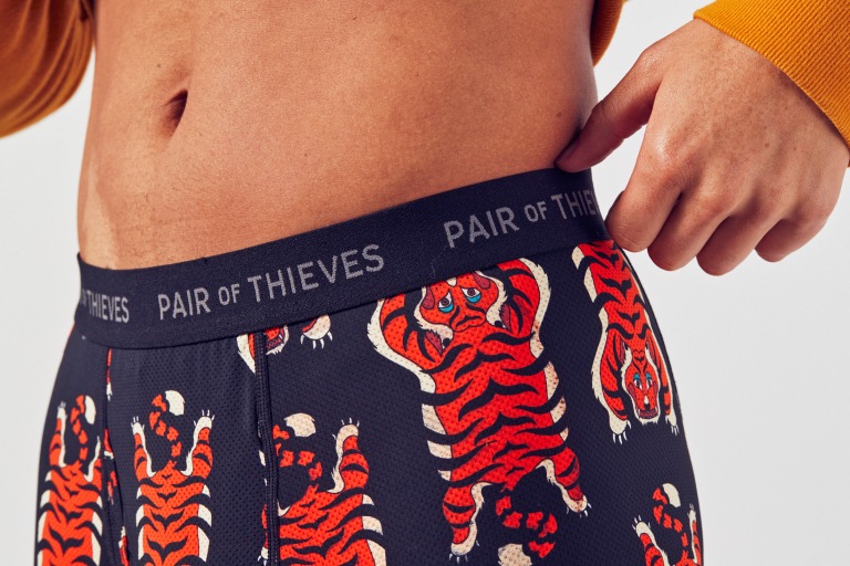 Pair of Thieves underwear review