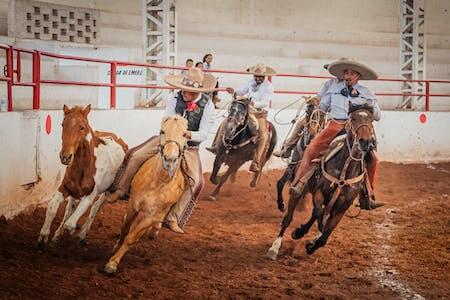 things to do with family near me - rodeo